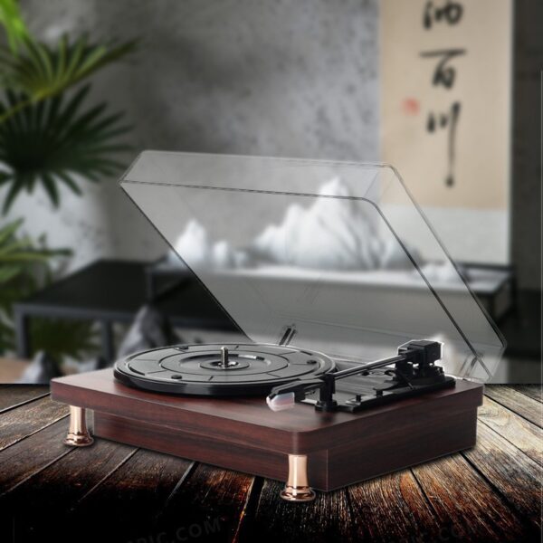 Vinyl Record Player - Image 7